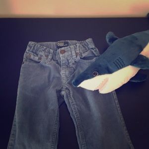 Polo blue corduroy pants